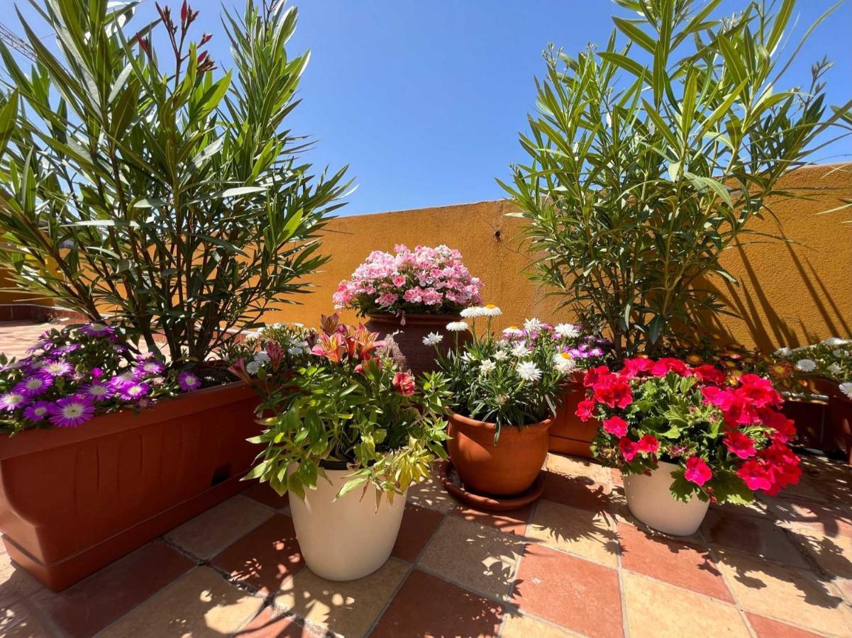 Casa Yvona Alghero Exterior foto